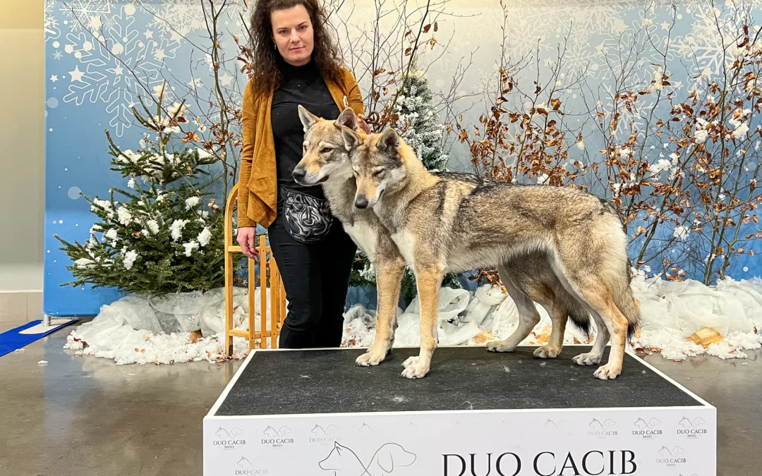 Duo CACIB Brno 24. – 25.&nbsp;1.&nbsp;2026