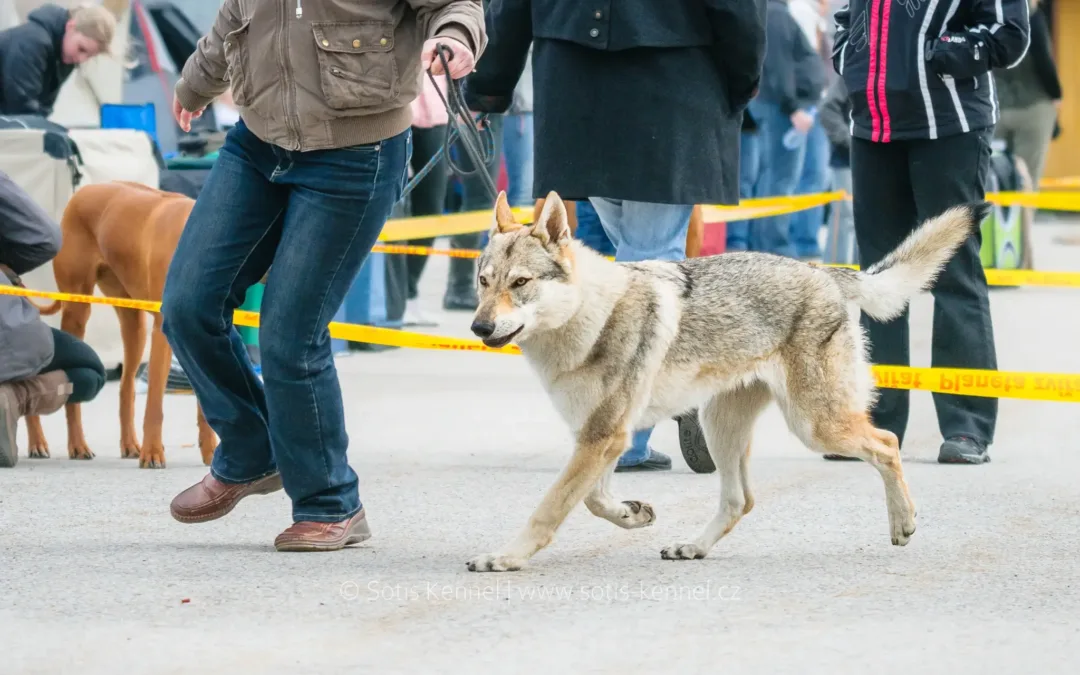 MVP České Budějovice 31.&nbsp;3.&nbsp;2012