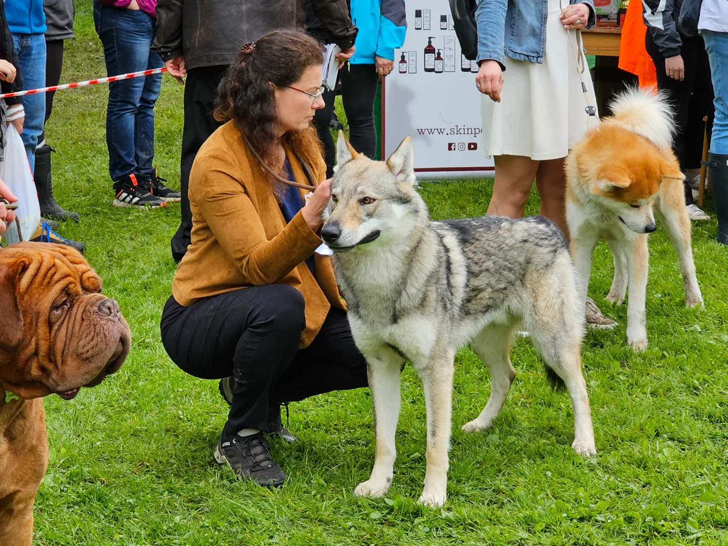 Gacrux Sonata Carpathica