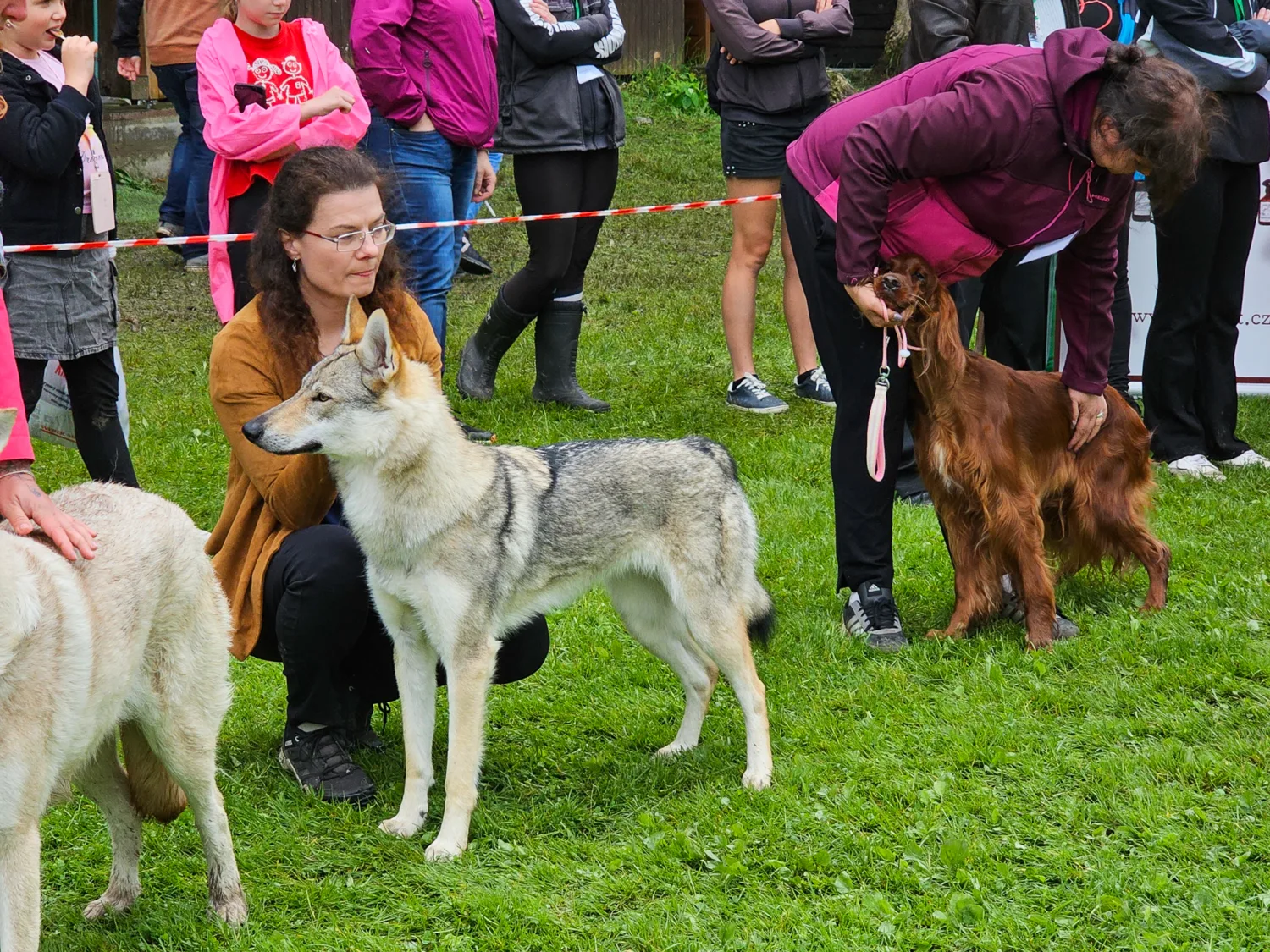 Gomeisa Sonata Carpathica