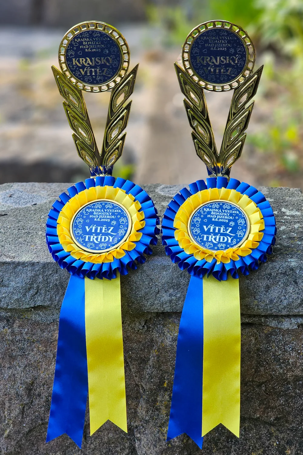 Krajská výstava Benátky nad Jizerou 8. 6. 2025