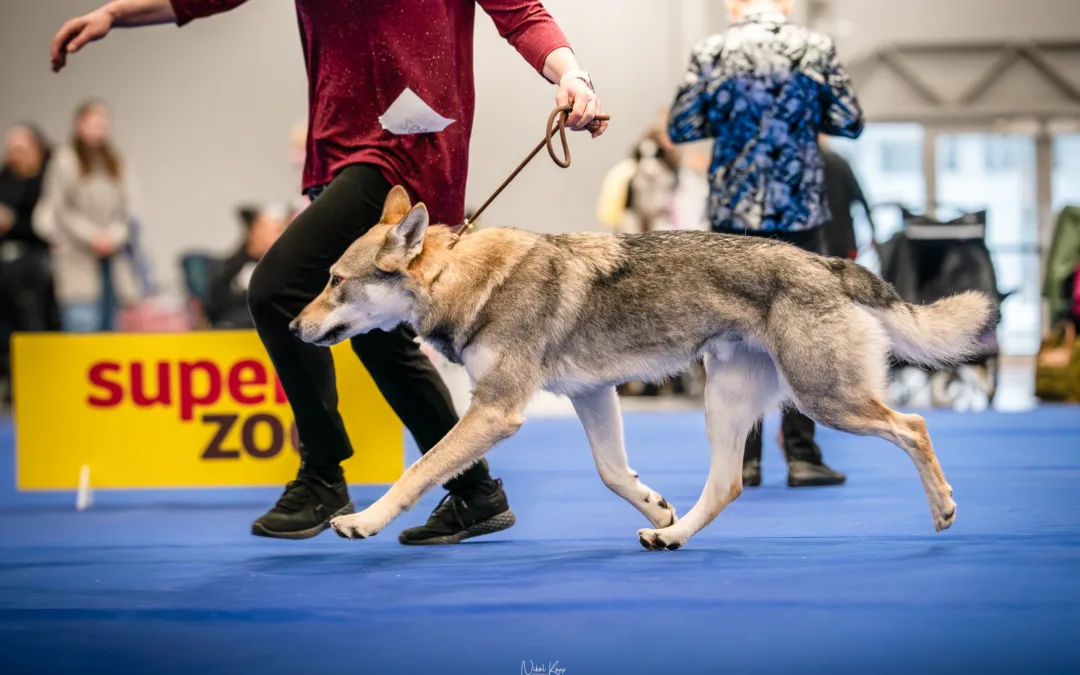 NVP Brno – 10.&nbsp;1.&nbsp;2026